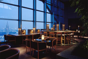 Park Hyatt Tokyo Bar