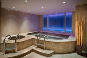 Park Hyatt Mendoza Spa