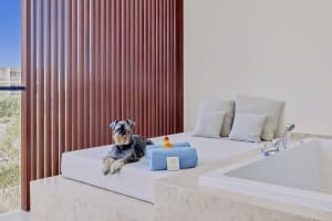 Live Aqua Beach Resort Punta Cana