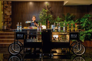 Riu Palace Kukulkan Mixology Car