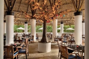 Hilton La Romana, an All-Inclusive Adult Resort Dining