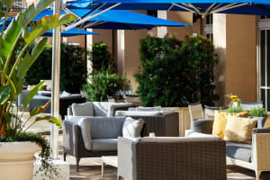 Renaissance Tampa International Plaza Hotel Outdoor Patio
