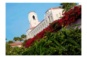 The Vinoy Resort & Golf Club, Autograph Collection Grounds