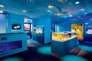 The Ritz-Carlton, Naples Nature's Wonders