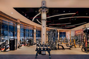 Sheraton Abu Dhabi Hotel & Resort gym