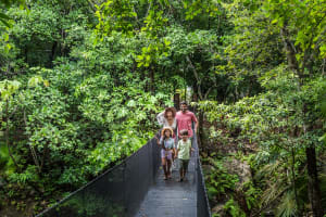 Sandos Caracol Eco Resort Bridge