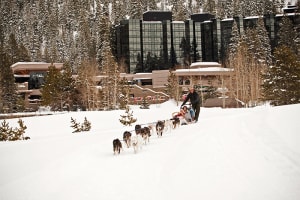 The Everline Resort and Spa, a Destination by Hyatt Hotel Dog Sled