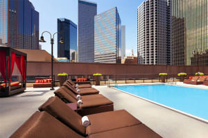 Sheraton Dallas Hotel Pool