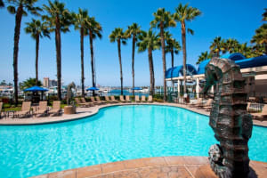 Sheraton San Diego Resort Lagoon Pool