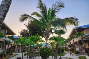 Sapphire Beach Resort