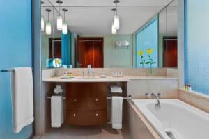 Sheraton Mendoza Hotel Bathroom