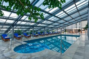 Sheraton Mendoza Hotel Pool