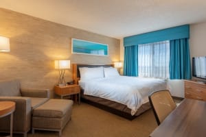 Sonesta Anaheim Resort Area Room