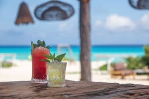 Palmaia - The House of AiA Cocktails