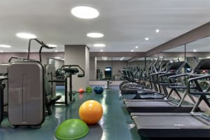 The St. Regis Istanbul Fitness
