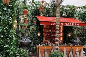 The St. Regis Rome Garden Bar
