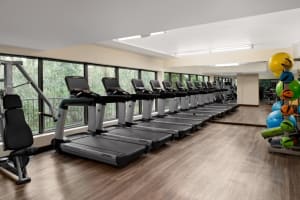 Sheraton Universal Hotel Fitness Center