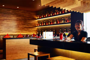 JW Marriott Gold Coast Resort & Spa Bar