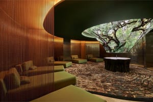 Savoy Palace - The Leading Hotels of the World - Savoy Signature Spa