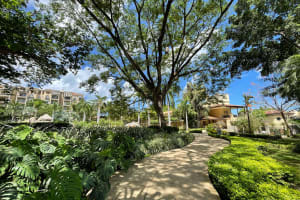 Tamarindo Diria Beach Resort Jardines