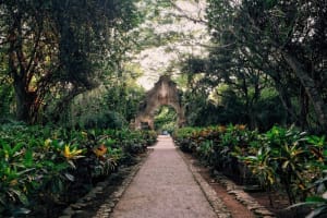 Hacienda Temozon, a Luxury Collection Hotel, Temozon Sur Garden