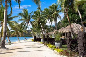 Tropica Island Resort Beachfront Bure