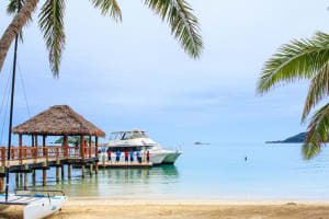 Tropica Island Resort Dock