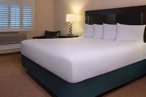 Tropicana Laughlin Room
