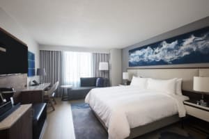 Tampa Marriott Water Street Guest Room