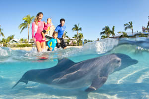 The Reef Atlantis Dolphin Cay