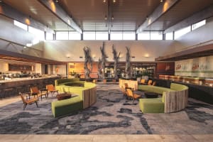 Universal's Endless Summer Resort - Dockside Inn and Suites Lobby