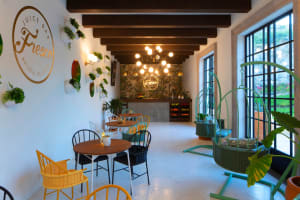 Vista Encantada Spa Resort & Residences Juice Bar