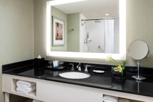 The Westin Arlington Bathroom
