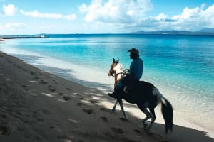 El Conquistador Resort Activities