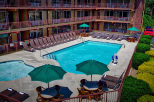 Wild Bear Inn Pool