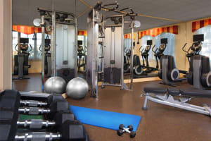 Marriott Vacation Club Willow Ridge Lodge Fitness