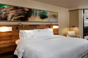 Viewline Resort Snowmass, Autograph Collection Room