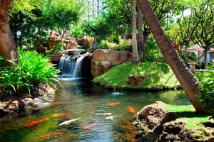 The Westin Maui Resort & Spa, Kaanapali Grounds