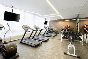 Holiday Inn Express Melbourne Southbank Fitness Center