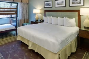 Yavapai Lodge Guestroom