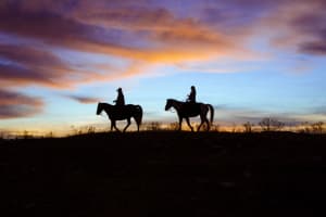 Zion Mountain Ranch Horse Riding