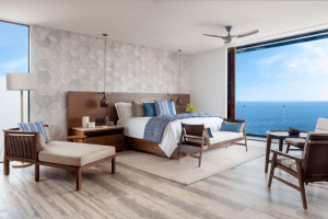 Zadun, a Ritz-Carlton Reserve Ocean Front Room