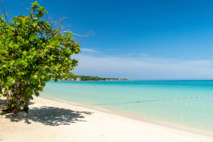 Negril Beach and almond tree, Negril, Jamaica