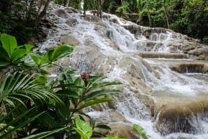 Jamaica Dunn's River Falls; Ocho Rios,