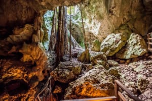 Runaway Bay & Trelawny Green Grotto Caves in Jamaica