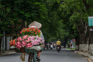 Hanoi Flower seller on bike in Hanoi