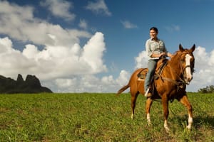Kauai Kauai Horseback Riding