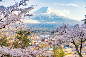 Asia Mt Fuji, Japan view through cherry blossoms