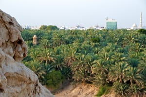 United Arab Emirates Al Ain Oasis