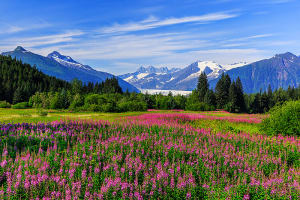Alaska Springtime in Juneau